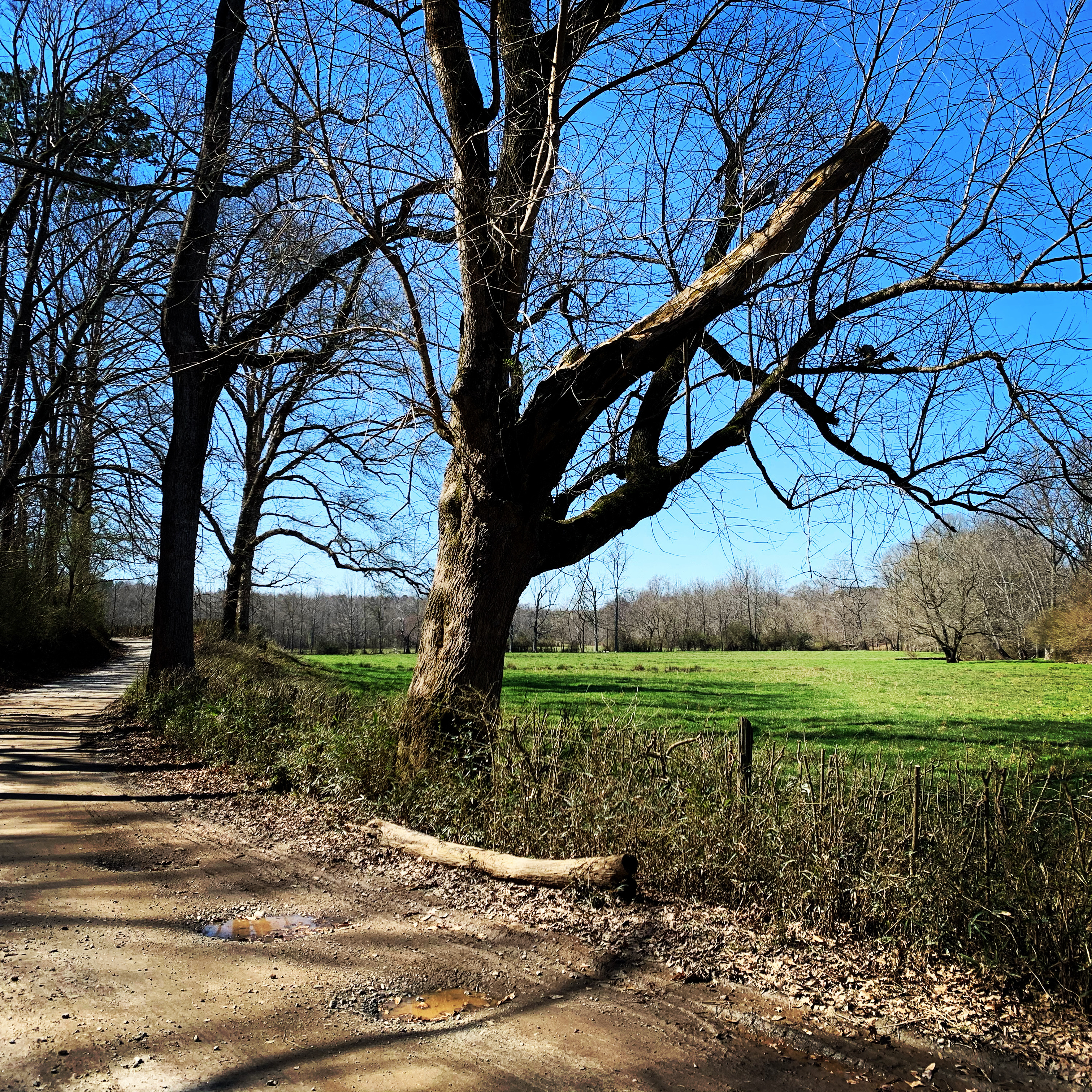 Dirty Sheets Gravel Route